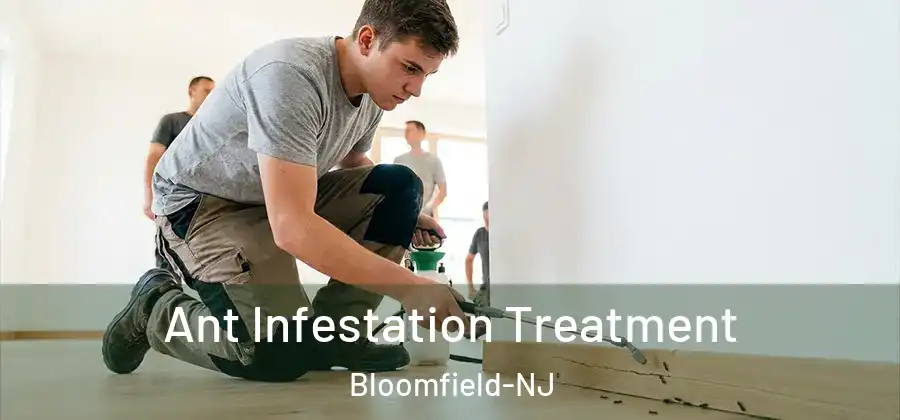 Ant Infestation Treatment Bloomfield-NJ