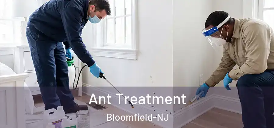 Ant Treatment Bloomfield-NJ