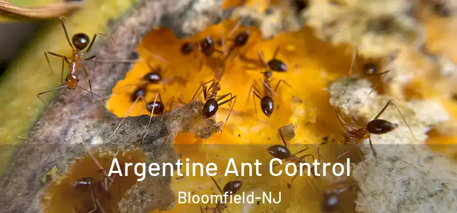  Argentine Ant Control Bloomfield-NJ