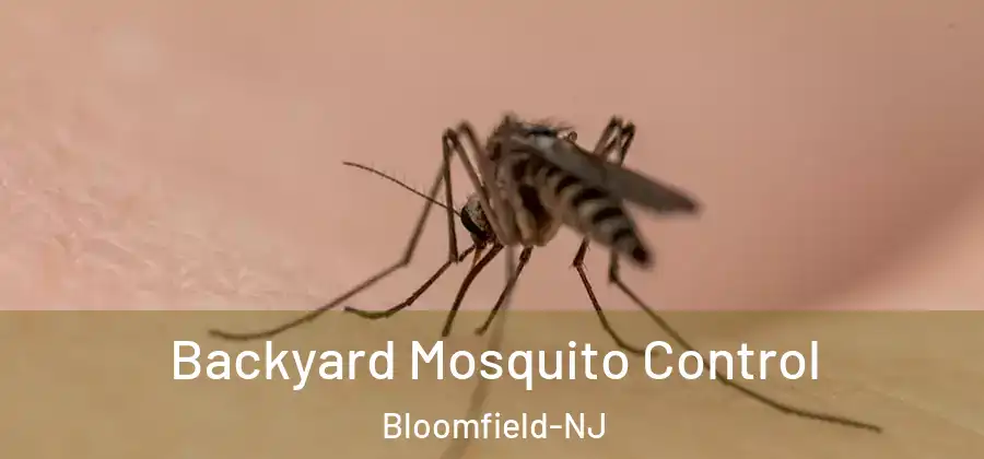Backyard Mosquito Control Bloomfield-NJ