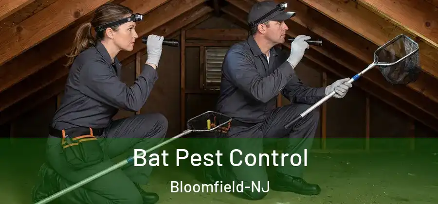 Bat Pest Control Bloomfield-NJ