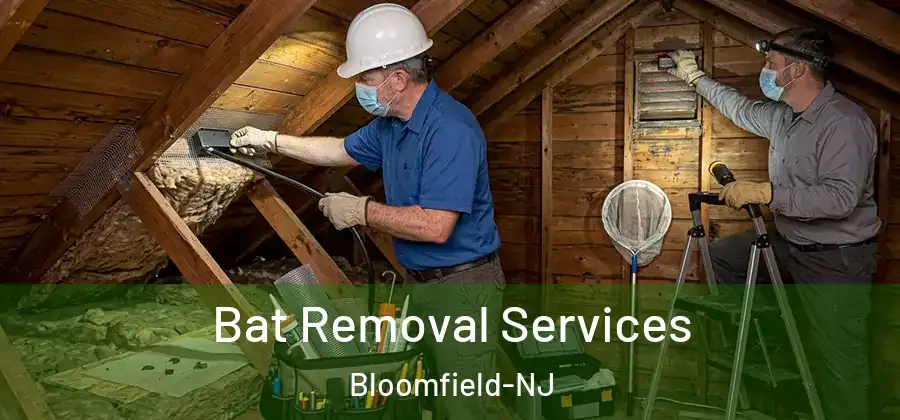 Bat Removal Services Bloomfield-NJ