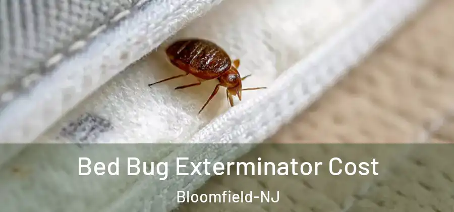 Bed Bug Exterminator Cost Bloomfield-NJ