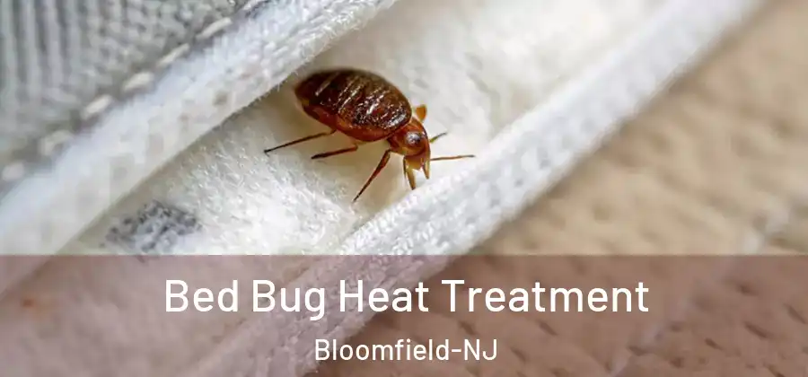  Bed Bug Heat Treatment Bloomfield-NJ