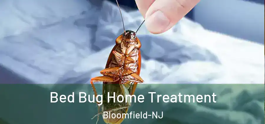  Bed Bug Home Treatment Bloomfield-NJ