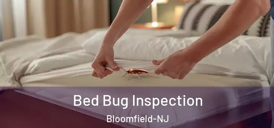 Bed Bug Inspection Bloomfield-NJ