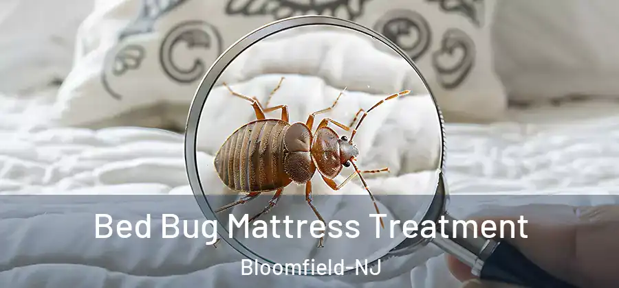 Bed Bug Mattress Treatment Bloomfield-NJ