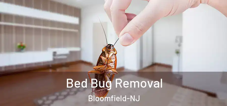 Bed Bug Removal Bloomfield-NJ