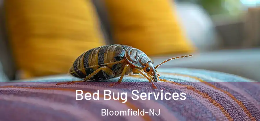 Bed Bug Services Bloomfield-NJ