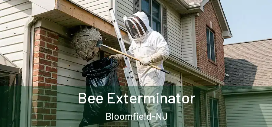 Bee Exterminator Bloomfield-NJ