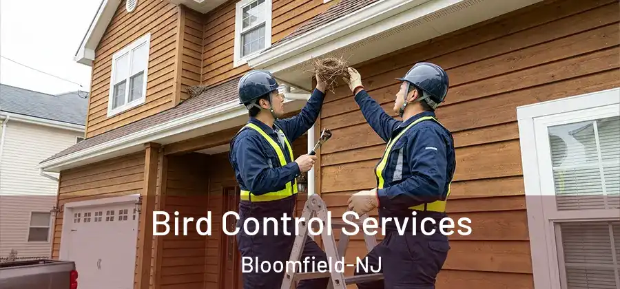 Bird Control Services Bloomfield-NJ