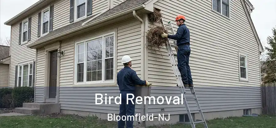 Bird Removal Bloomfield-NJ
