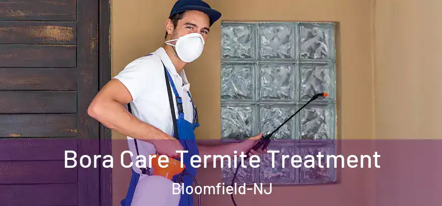 Bora Care Termite Treatment Bloomfield-NJ