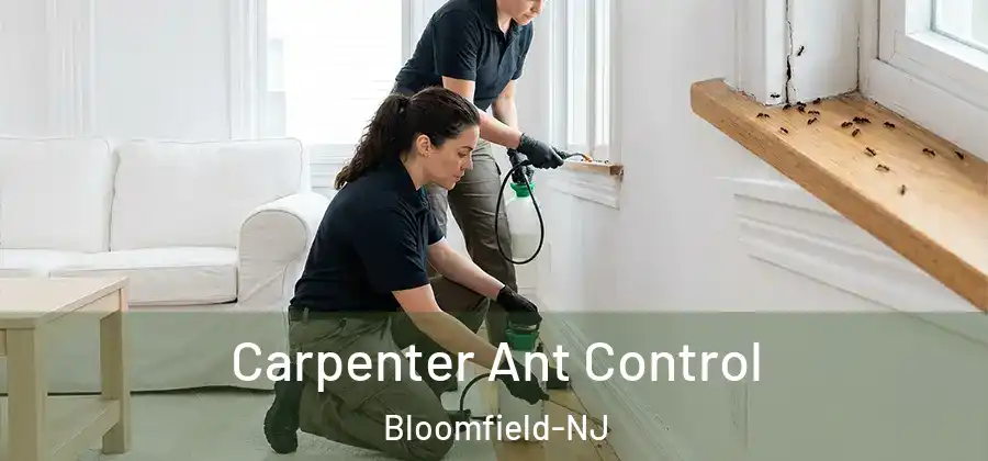 Carpenter Ant Control Bloomfield-NJ