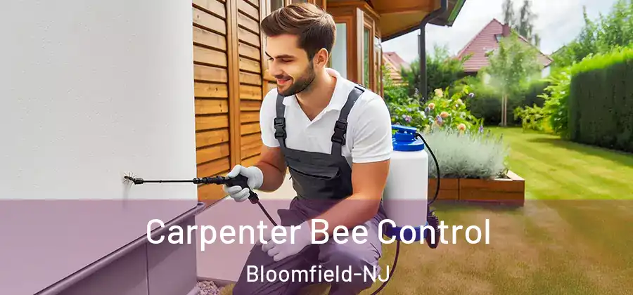Carpenter Bee Control Bloomfield-NJ