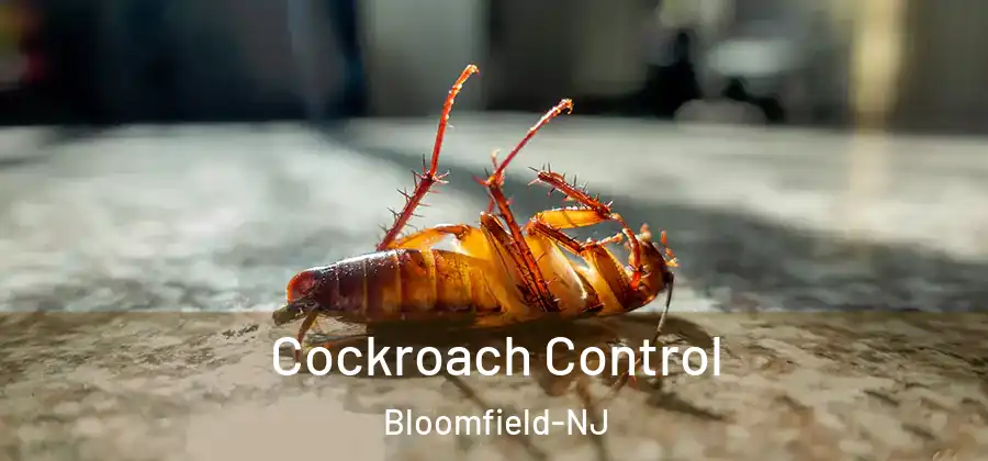 Cockroach Control Bloomfield-NJ