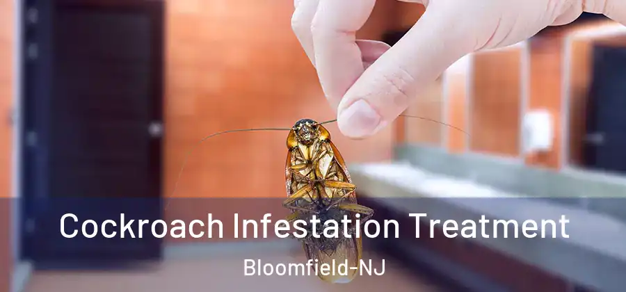  Cockroach Infestation Treatment Bloomfield-NJ