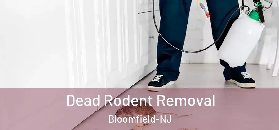 Dead Rodent Removal Bloomfield-NJ