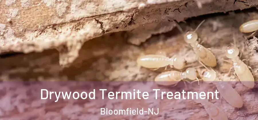  Drywood Termite Treatment Bloomfield-NJ
