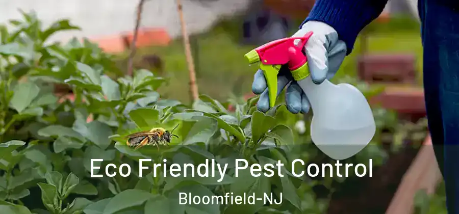 Eco Friendly Pest Control Bloomfield-NJ