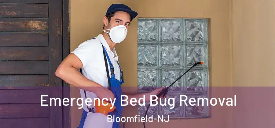 Emergency Bed Bug Removal Bloomfield-NJ