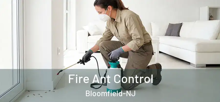Fire Ant Control Bloomfield-NJ