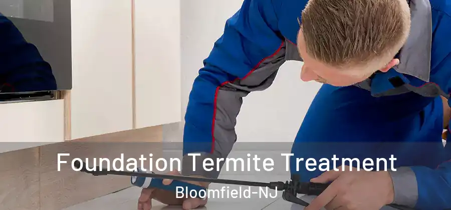 Foundation Termite Treatment Bloomfield-NJ