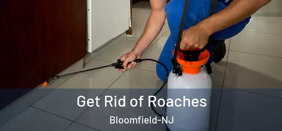 Get Rid of Roaches Bloomfield-NJ