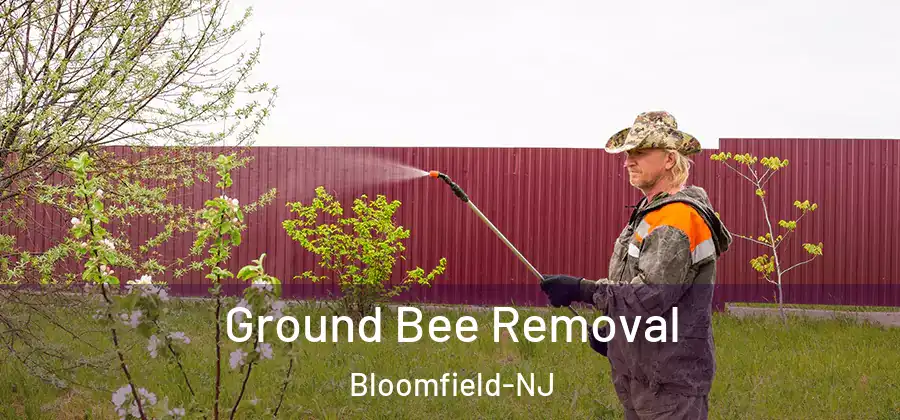 Ground Bee Removal Bloomfield-NJ