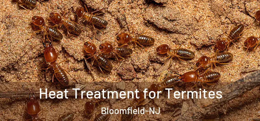  Heat Treatment for Termites Bloomfield-NJ