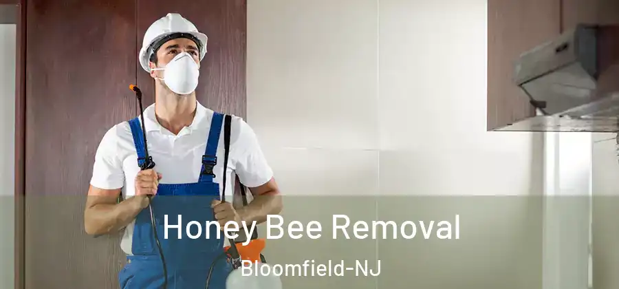Honey Bee Removal Bloomfield-NJ
