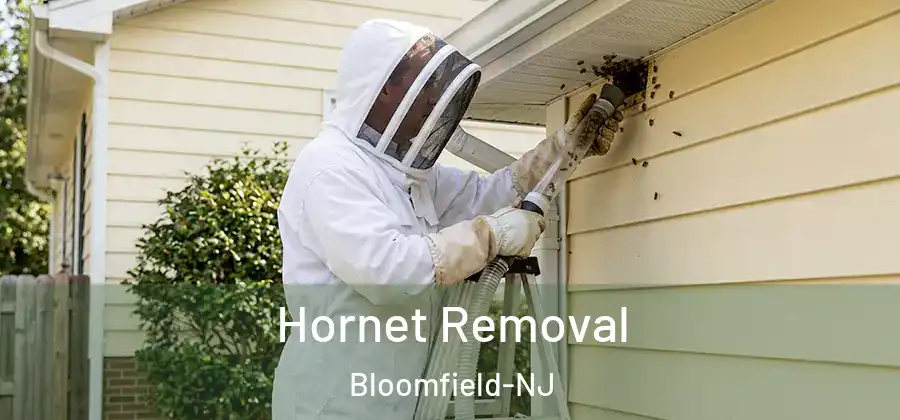 Hornet Removal Bloomfield-NJ