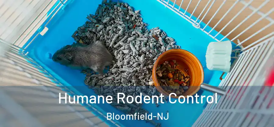 Humane Rodent Control Bloomfield-NJ