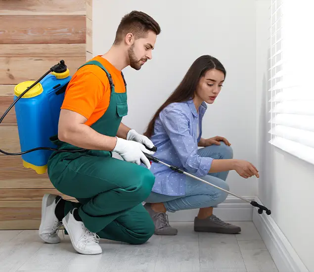Trusted Affordable Bed Bug Treatment Experts in Bloomfield, NJ