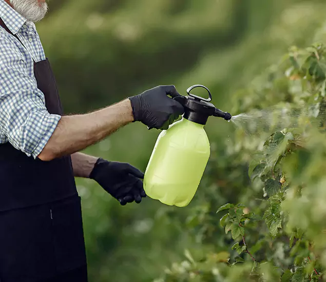 Your Proven Mosquito Treatment Company in Bloomfield, NJ