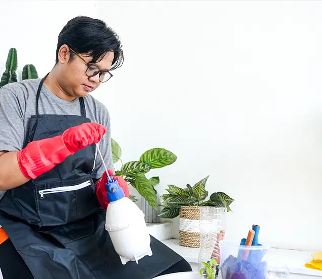 About Bed Bug Chemical Treatment Experts in Bloomfield, NJ