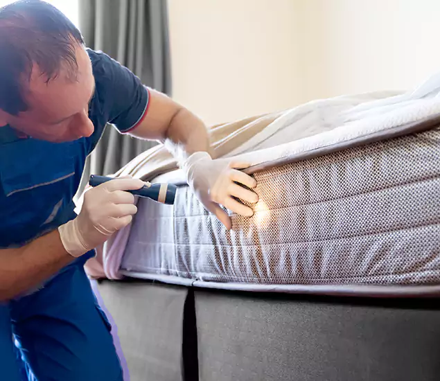 Trusted Bed Bug Cost Experts in Bloomfield, NJ