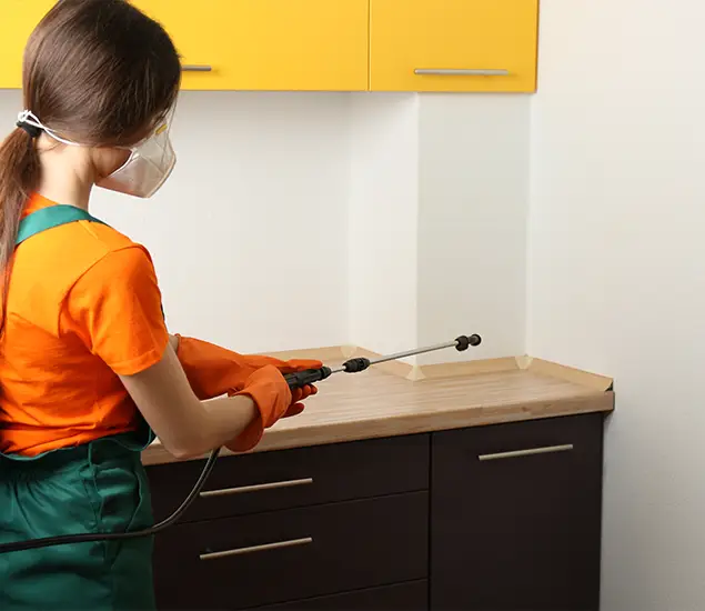 Trusted Bed Bug Pest Control Specialist in Bloomfield, NJ
