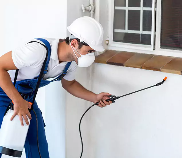 Your Professional Cockroach Exterminator in Bloomfield, NJ