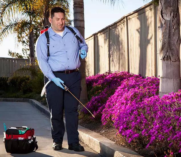 About Our Eco Safe Pest Control Experts in Bloomfield, NJ