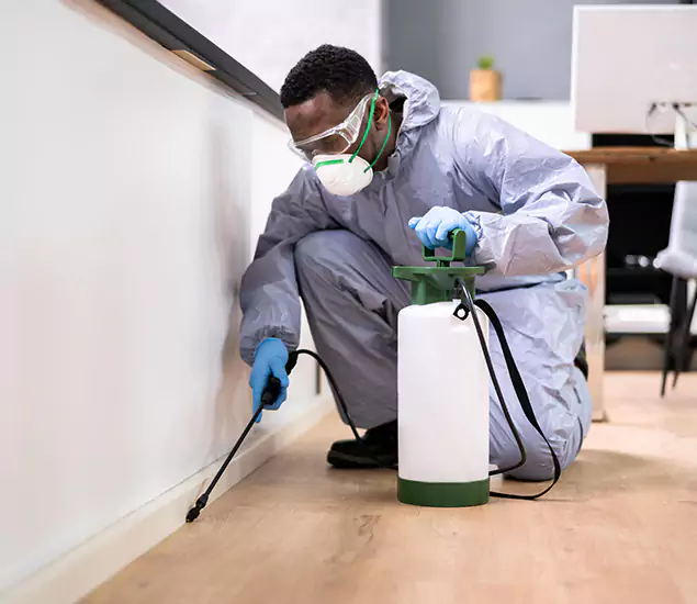 Leading Industrial Pest Control Experts Serving Bloomfield, NJ