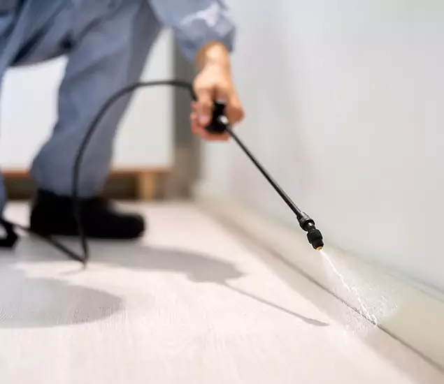 About Our Liquid Termite Treatment Experts in Bloomfield, NJ