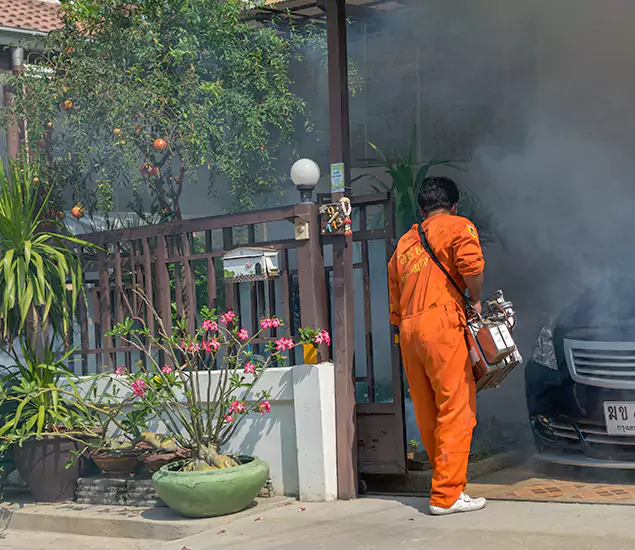 Your Proven Mosquito Fogging Company in Bloomfield, NJ