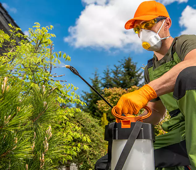 Your Best Bug Spray for Home Team in Bloomfield, NJ