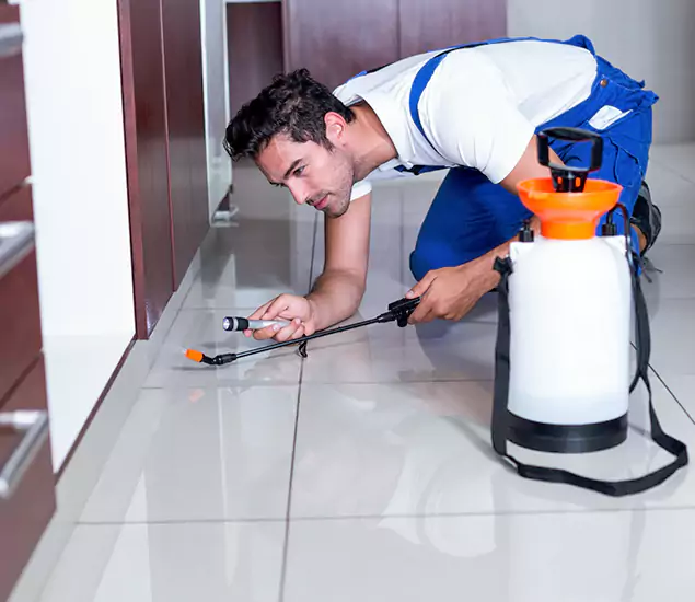 Reliable Professional Mouse Removal: Your Best Mouse Control Company in Bloomfield, NJ