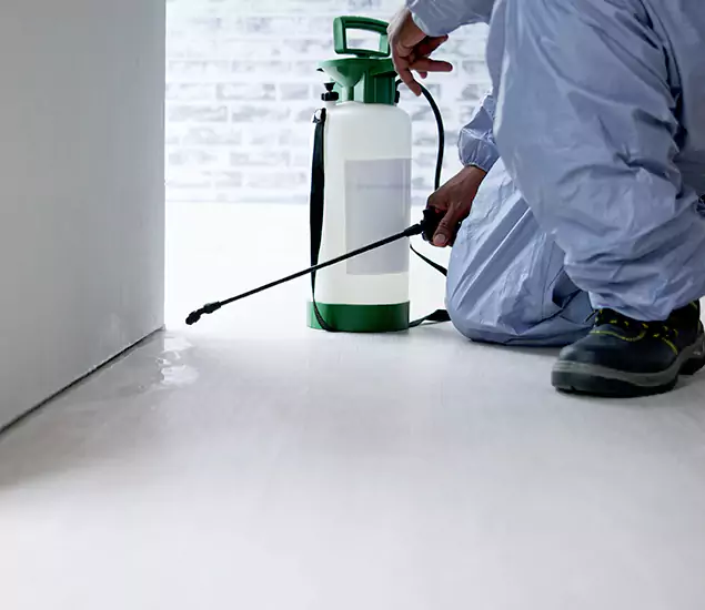 Affordable Pest Control Experts in Bloomfield, NJ
