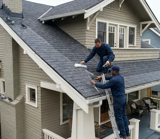 Your Pigeon Control Experts in Bloomfield, NJ