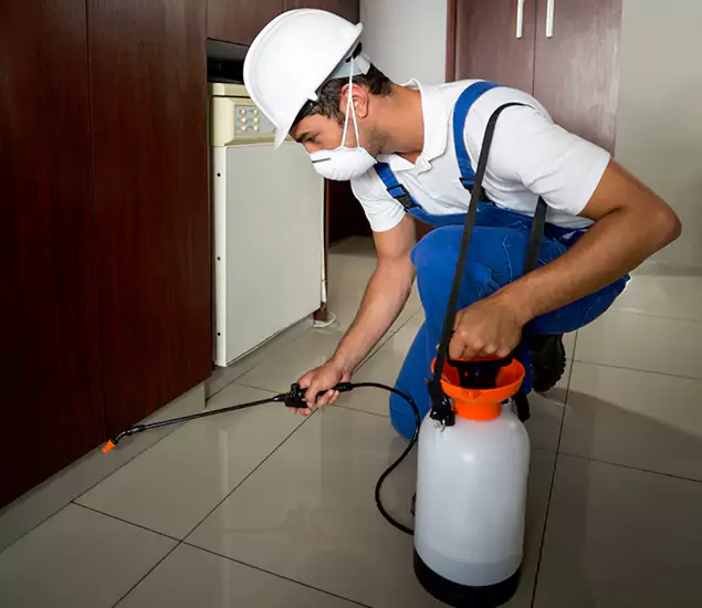 Advanced Termite Pre Treatment Experts in Bloomfield, NJ