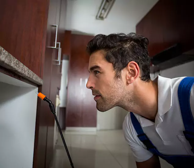 Expert Rodent in Attic Removal: Your Proven Pest Specialists in Bloomfield, NJ
