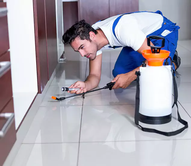 Advanced Slab Termite Treatment Experts You Can Trust&nbsp;in Bloomfield, NJ